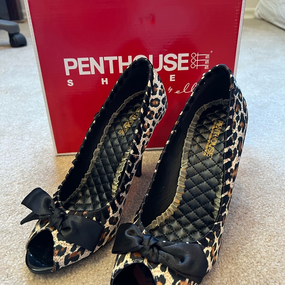 Penthouse shoes by Ellie. Never been worn. Size 9. 3 inch heel